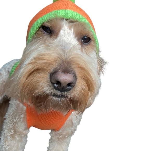 Halloween Pumpkin Hooded Dog Sweater Jack-o'-Lantern Costume - Picture 5 of 7